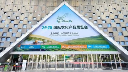 Wonderful First Day at ACS: Grateful for the Encounter!